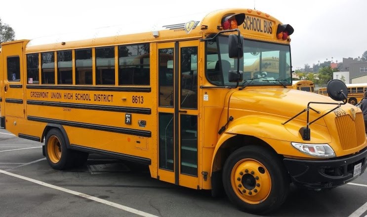 Bus 8613